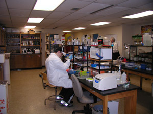 Main protein lab